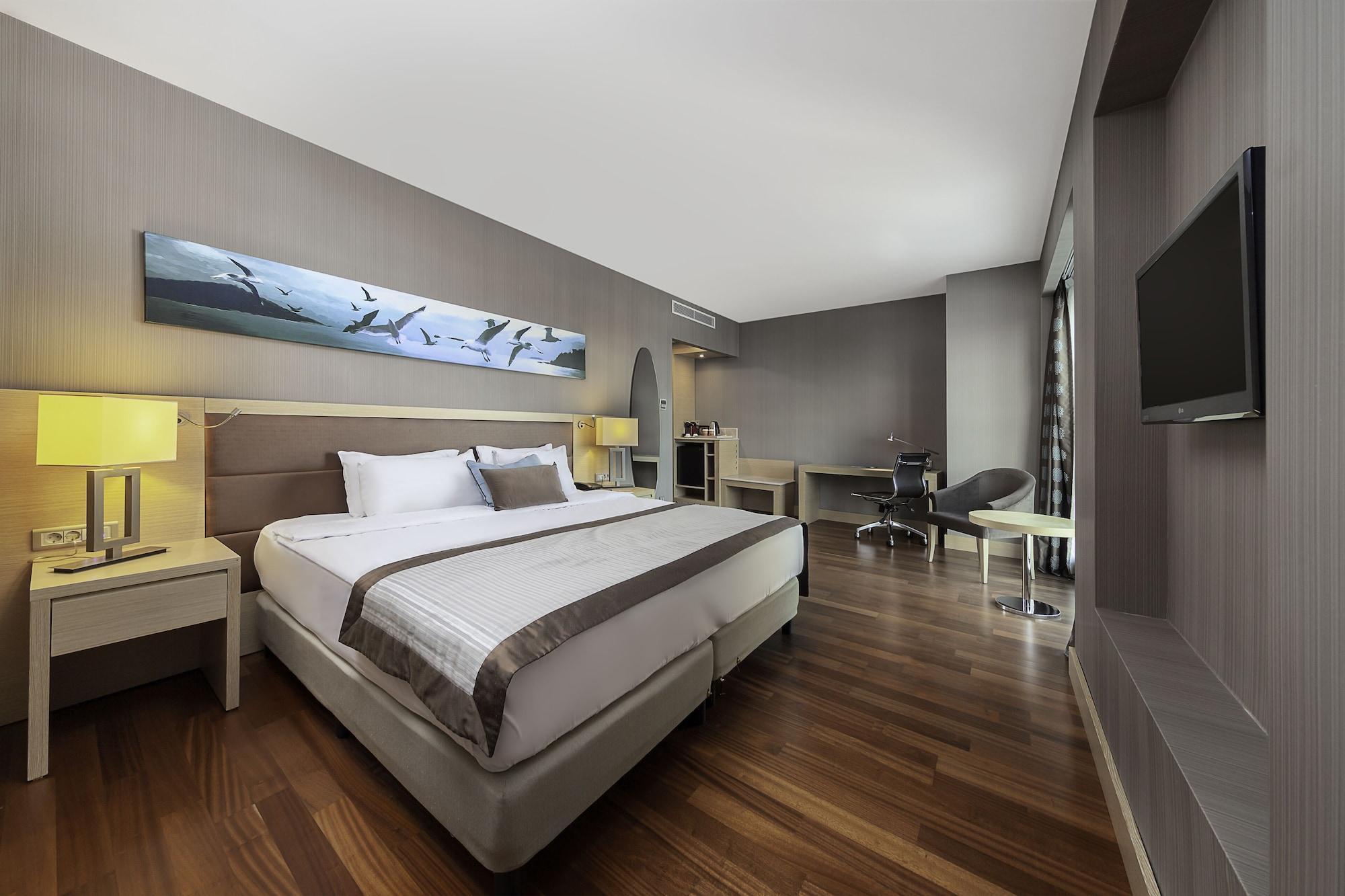 Dedeman Bostanci Istanbul Hotel & Convention Center Zewnętrze zdjęcie Deluxe Room